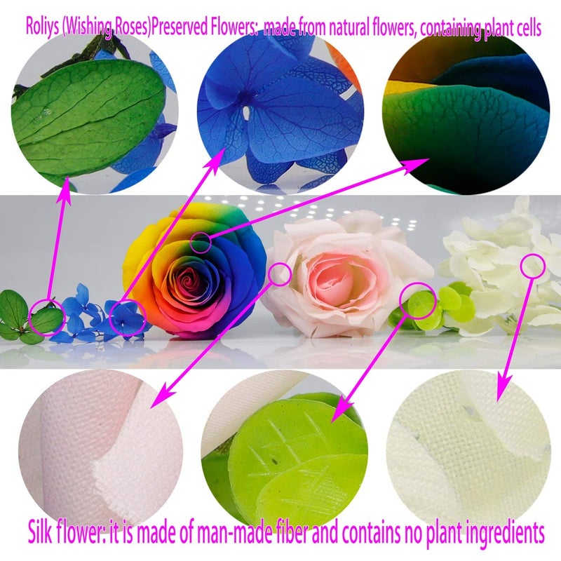roliys Preserved Real Roses with Colorful Mood Light Wishing Bottle,Eternal Roseï¼ŒNever Withered Flowers,for Bedroom Party Table Decor, Christmas Anniversary,Valentine's,Mother's Day, (Multi) - Image 4